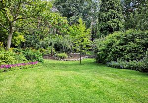 Optimiser l'expérience du jardin à Saint-Genes-du-Retz